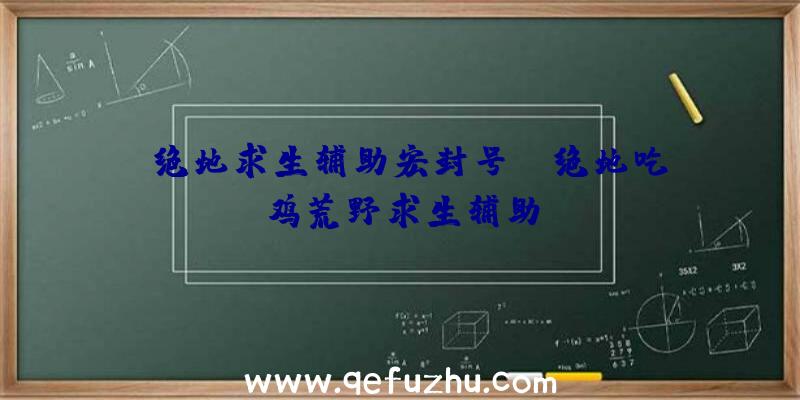 「绝地求生辅助宏封号」|绝地吃鸡荒野求生辅助